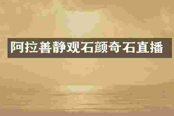 阿拉善静观石颜奇石直播