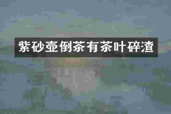 紫砂壶倒茶有茶叶碎渣