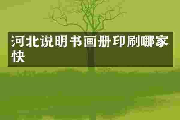 河北说明书画册印刷哪家快