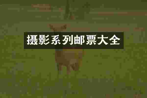摄影系列邮票大全