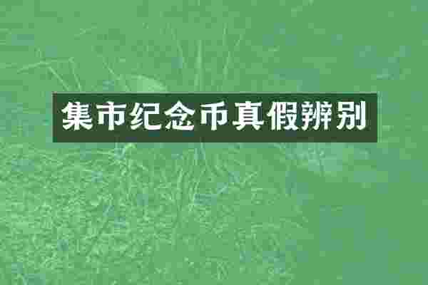 集市纪念币真假辨别