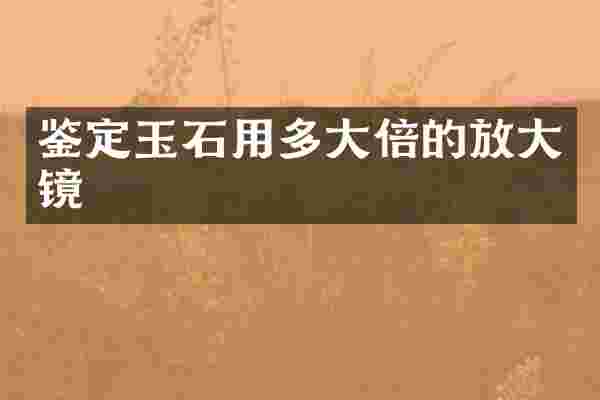 鉴定玉石用多大倍的放大镜