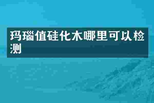 玛瑙值硅化木哪里可以检测