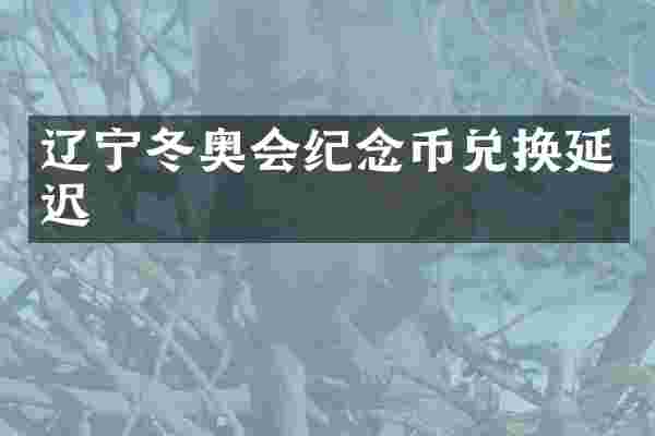 辽宁冬奥会纪念币兑换延迟