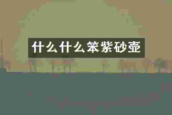 什么什么笨紫砂壶