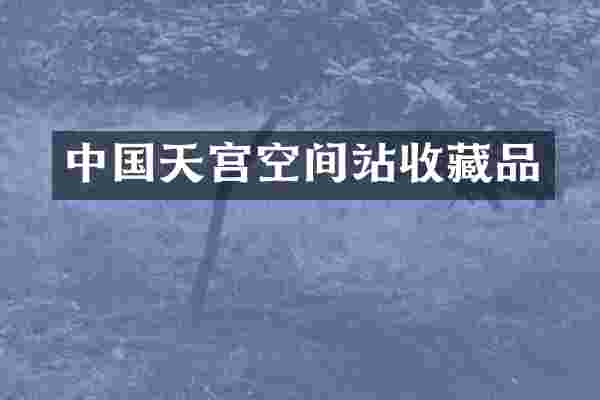 中国天宫空间站收藏品