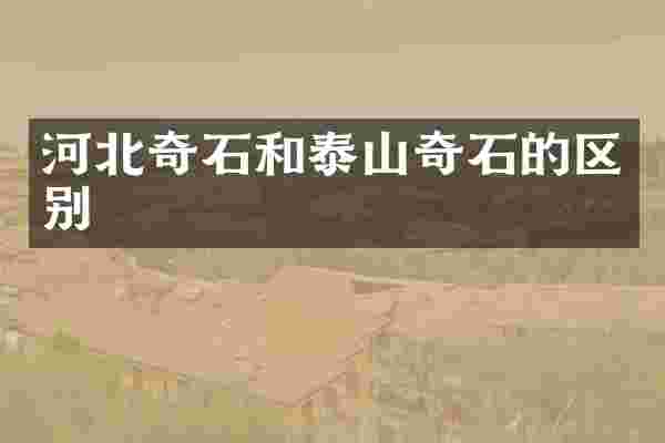 河北奇石和泰山奇石的区别