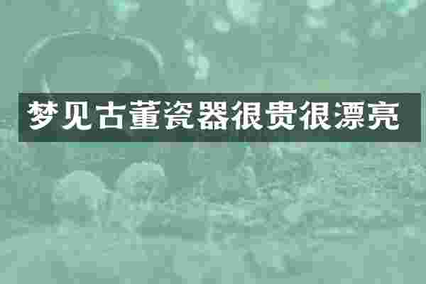 梦见古董瓷器很贵很漂亮