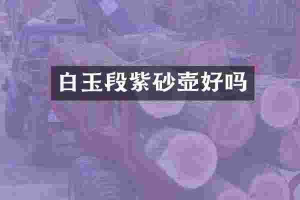 白玉段紫砂壶好吗