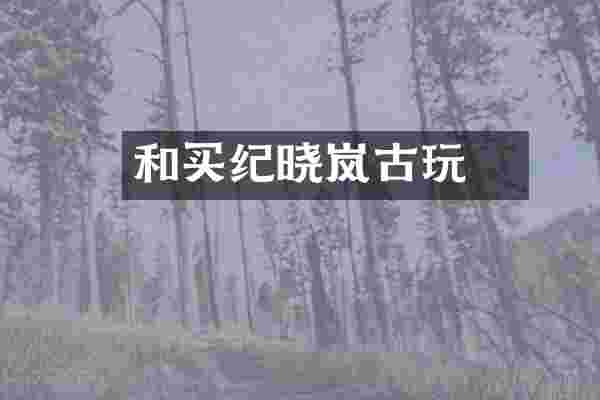 和珅买纪晓岚古玩
