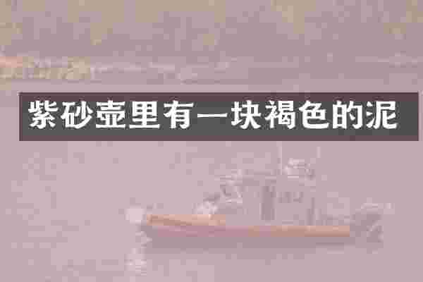 紫砂壶里有一块褐色的泥