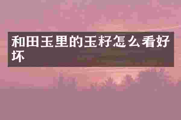 和田玉里的玉籽怎么看好坏