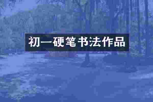 初一硬笔书法作品