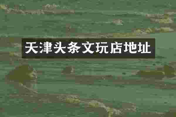 天津头条文玩店地址