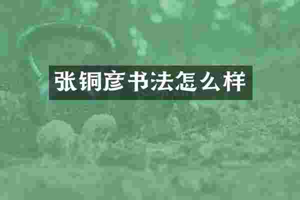 张铜彦书法怎么样