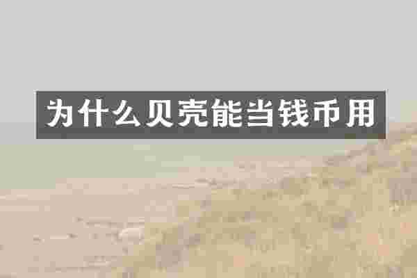 为什么贝壳能当钱币用