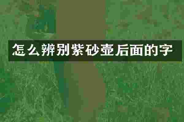 怎么辨别紫砂壶后面的字