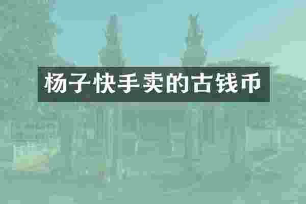 杨子快手卖的古钱币