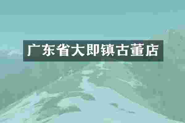广东省大即镇古董店