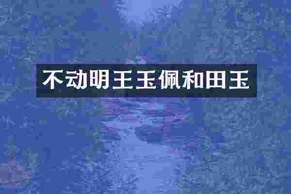 不动明王玉佩和田玉