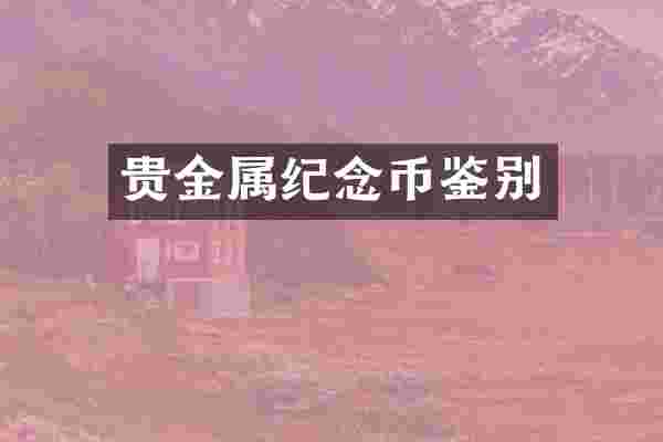 贵金属纪念币鉴别