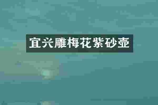 宜兴雕梅花紫砂壶
