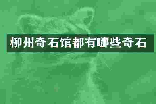 柳州奇石馆都有哪些奇石