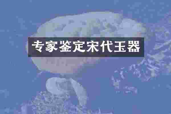 专家鉴定宋代玉器