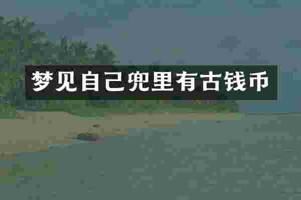 梦见自己兜里有古钱币
