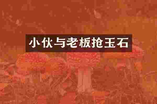 小伙与老板抢玉石