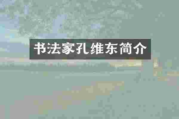 书法家孔维东简介