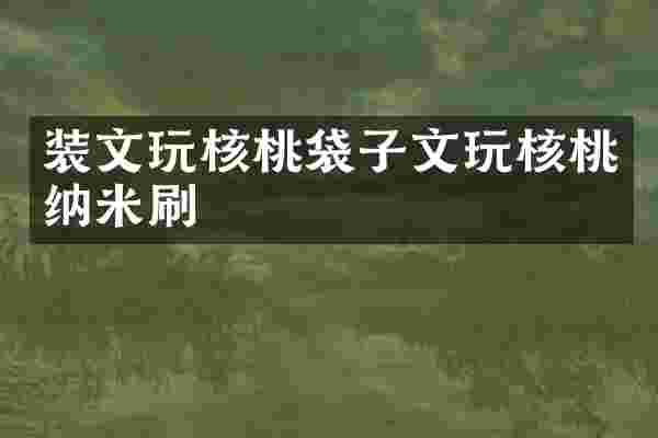 装文玩核桃袋子文玩核桃纳米刷