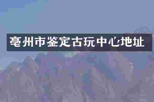 亳州市鉴定古玩中心地址