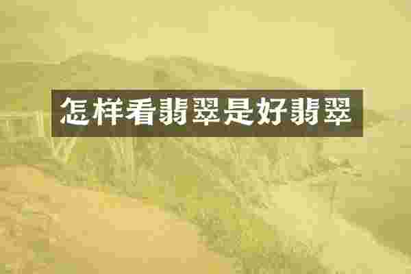 怎样看翡翠是好翡翠