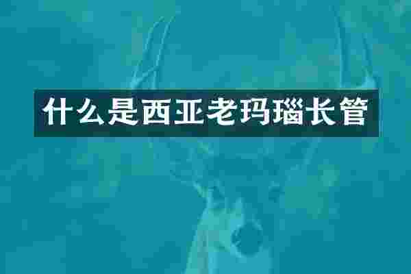 什么是西亚老玛瑙长管