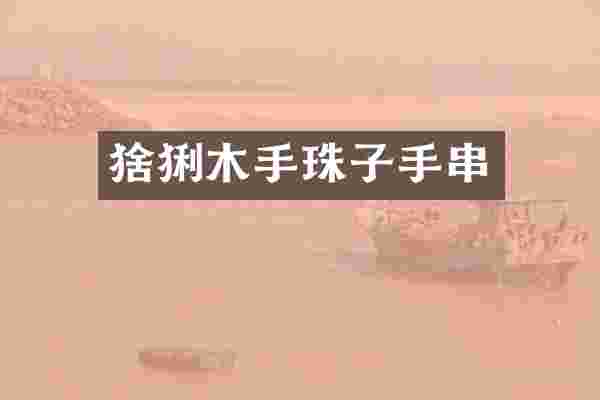 猞猁木手珠子手串