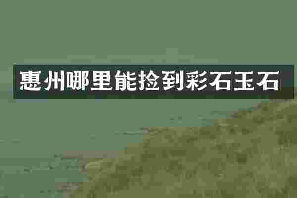 惠州哪里能捡到彩石玉石