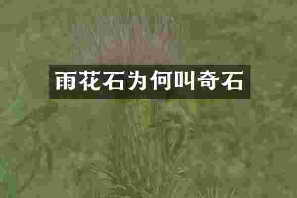 雨花石为何叫奇石