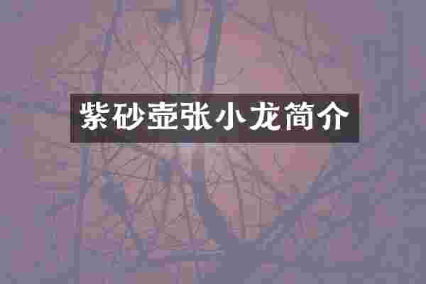 紫砂壶张小龙简介