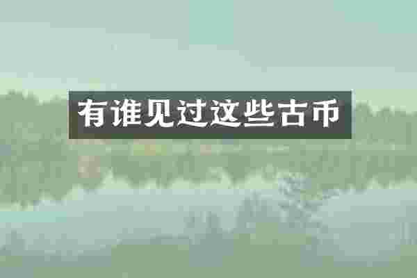 有谁见过这些古币