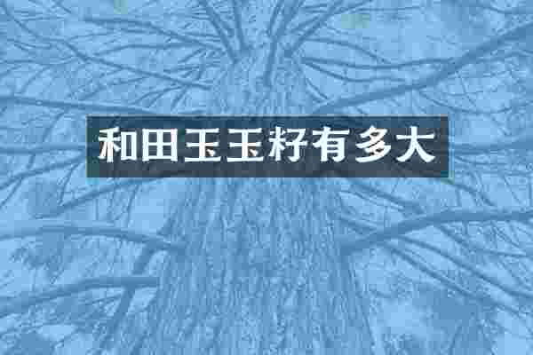 和田玉玉籽有多大