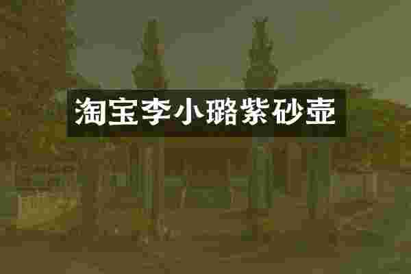 淘宝李小璐紫砂壶