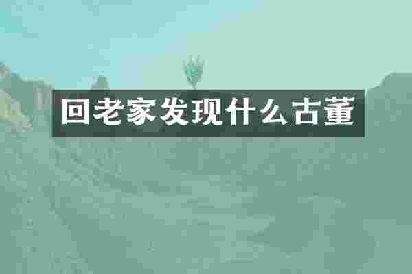 回老家发现什么古董