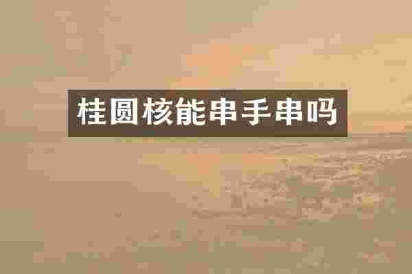 桂圆核能串手串吗