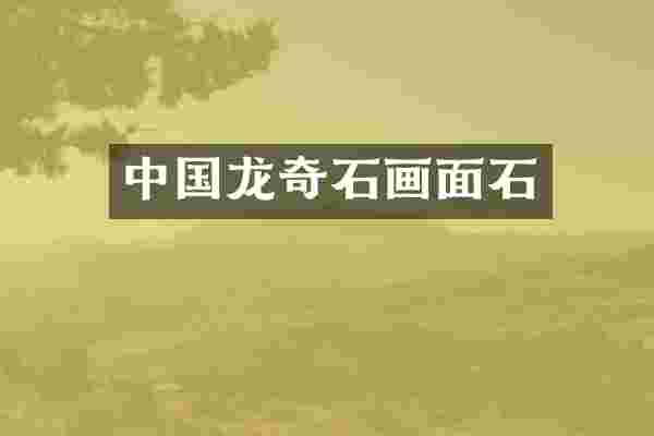 中国龙奇石画面石