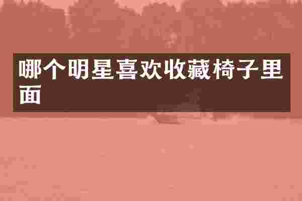 哪个明星喜欢收藏椅子里面