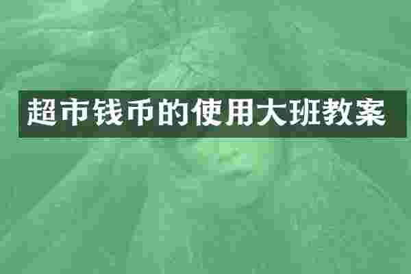 超市钱币的使用大班教案