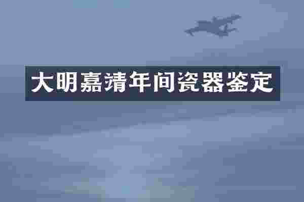 大明嘉靖年间瓷器鉴定
