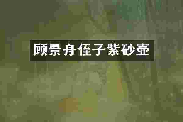 顾景舟侄子紫砂壶