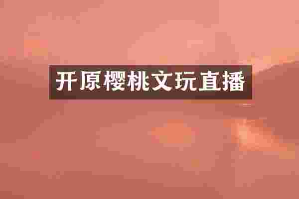 开原樱桃文玩直播